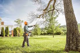 Best Pest Control for Lawns  in Fayette, IA